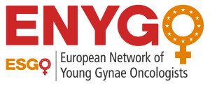 ENYGO Logo