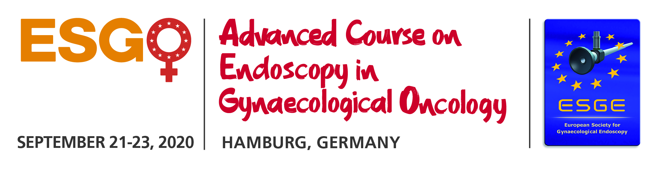 Course on Endoscopy in Gynaecological Oncology_v3_jpg