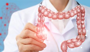 Bowel_Course_Web_Small