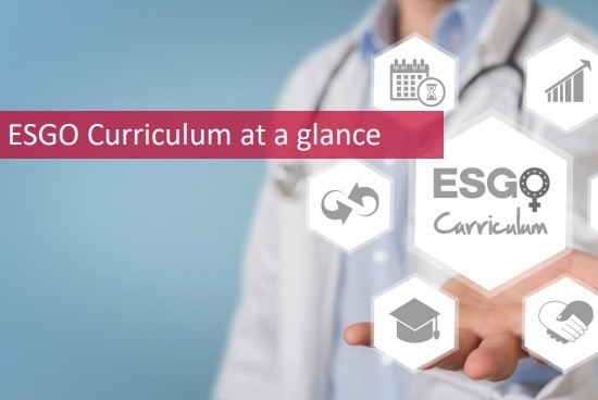 esgo curriculum at a glance