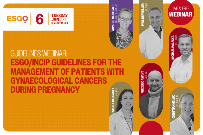 ESGO-INCIP Guidelines for the management of patients with gynaecological cancers during pregnancy
